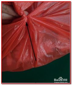 塑料袋无绳密封技巧 轻松防蚁防蟑螂